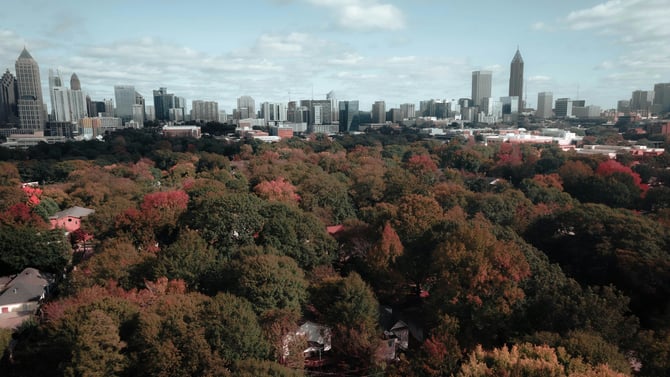 Discover Every Season in Metro Atlanta — We've Got You Covered